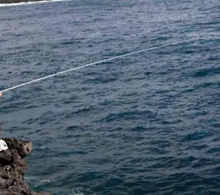 Apartment Refreshing Oasis